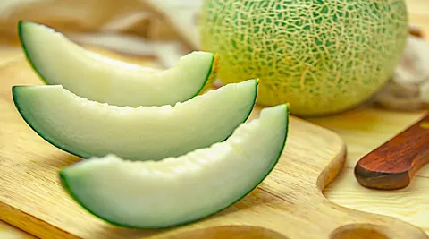 تصویر 3 از راهنمای خرید طالبی شیرین + قیمت عالی